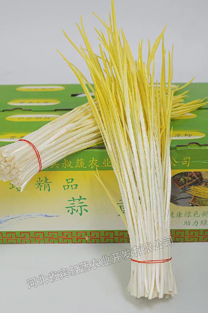 蒜黄